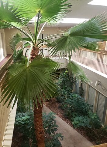 More Photos Of 11059 E Bethany Dr, Aurora Office For Lease