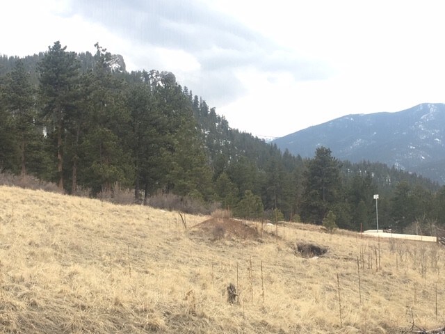 More Photos Of 62430 US Highway 285, Bailey Land For Sale