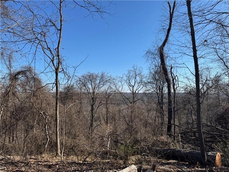 More Photos Of 0 Fallen Timber rd, Avella Land For Sale