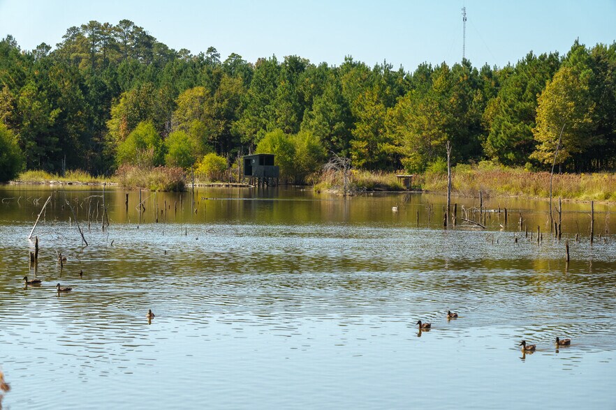 More Photos Of 18618 Hwy 43, Linden Land For Sale