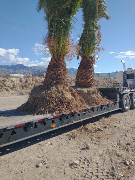 Primary Photo Of 2941 S Franhi Rd, Littlefield Land For Sale