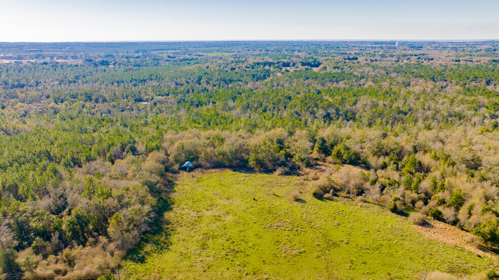 More Photos Of 12960 County Road 48, Silverhill Land For Sale