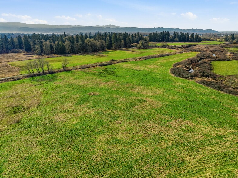 More Photos Of 957 State Route 4 Hwy, Cathlamet Land For Sale