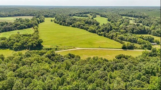 More Photos Of 2245 Big Ivy Rd, Savannah Land For Sale