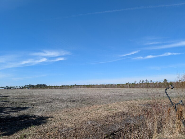 More Photos Of 522 Plum Nearly Ln, Trenton Land For Sale