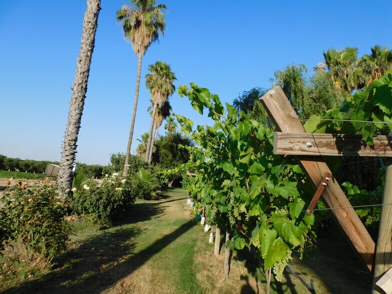 More Photos Of 8241 Koch Rd, Bakersfield Land For Sale