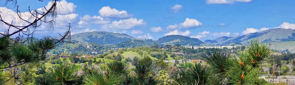 More Photos Of 7 Merrydale Rd, San Rafael Apartments For Sale