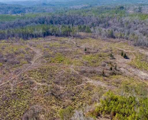 More Photos Of 0 AL 13, Nauvoo Land For Sale