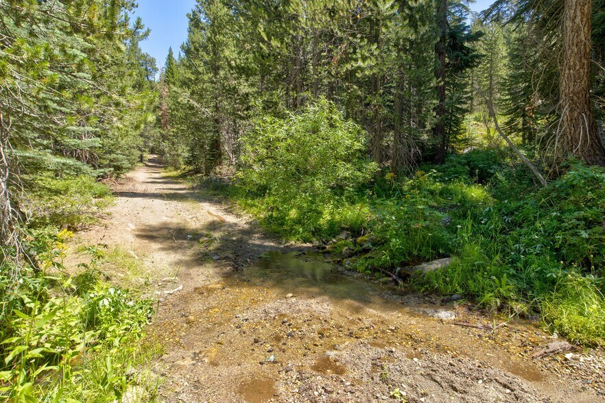 More Photos Of 65745 Big Meadows Road, Kings Canyon National Pk Land For Sale