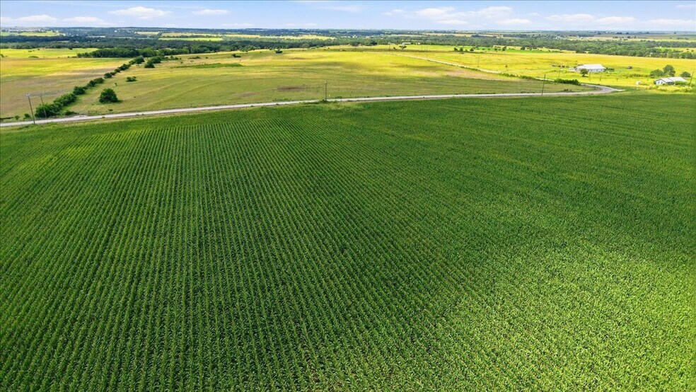 More Photos Of County Road 319, Granger Land For Sale