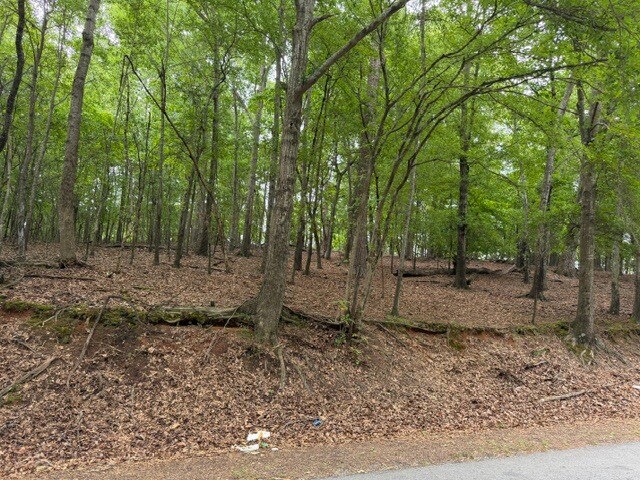 More Photos Of 357 Linwood dr, Gainesville Land For Sale