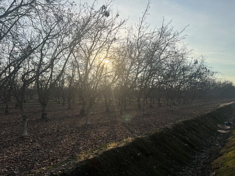 More Photos Of Avenue 248 @ Bliss Lane, Tulare Land For Sale