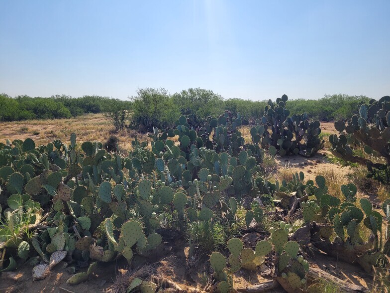 More Photos Of , Laredo Land For Sale