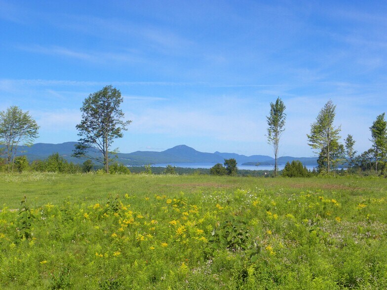 More Photos Of Mt Vernon St, Newport City Land For Sale