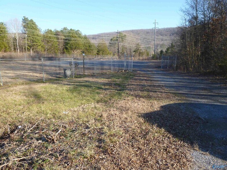 Primary Photo Of 3609 Williams Ave NE, Fort Payne Land For Sale