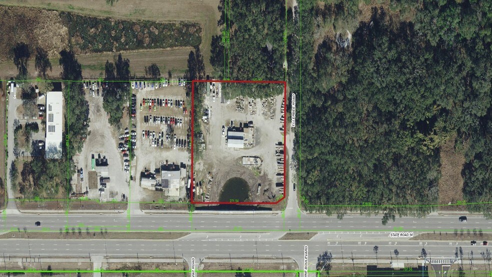 More Photos Of 5807 Ellerbee Rd, Wesley Chapel Land For Sale