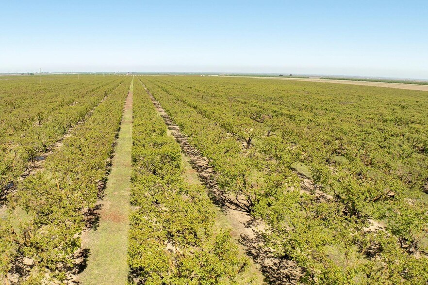 More Photos Of 0 Hamilton Road, Westley Land For Sale