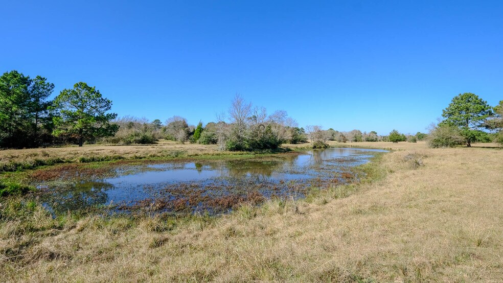 More Photos Of 26266 Fields Store Rd., Waller Land For Sale