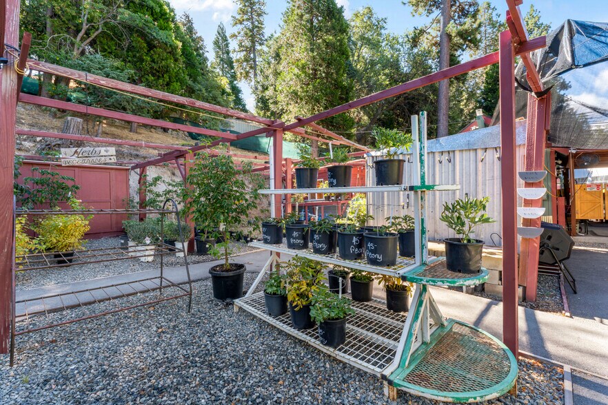 More Photos Of 303 CA-173 Hwy, Lake Arrowhead Garden Center For Sale