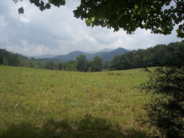 More Photos Of 6156 Mount Olive Church Rd, Morganton Land For Sale