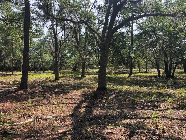 More Photos Of Highway 60 @ Walk in Water Rd., Lake Wales Land For Sale