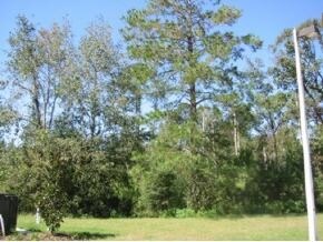 More Photos Of 1147 NW 64th Ter, Gainesville Land For Sale