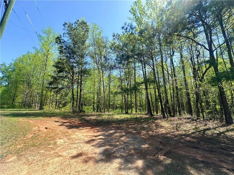 More Photos Of 7351 Highway 53 W, Big Canoe Land For Sale