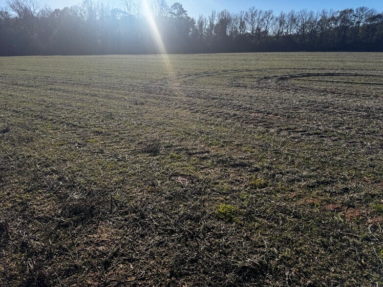 More Photos Of 0 Wiggins Road, Frisco City Land For Sale