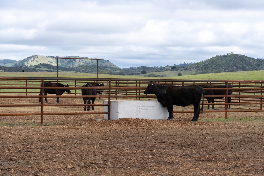 More Photos Of 76525 Interlake Rd, Bradley Land For Sale