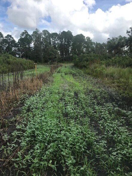 More Photos Of Redlands Dr, Deland Land For Sale