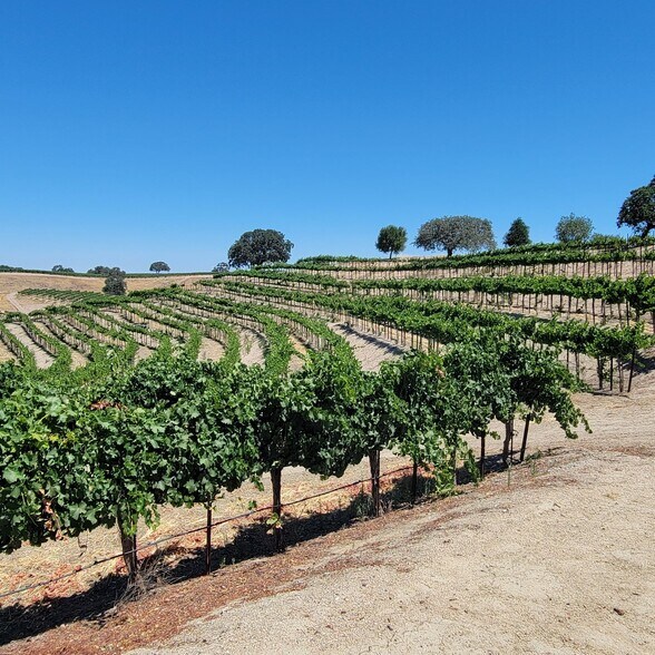 More Photos Of 4900 Union Rd, Paso Robles Winery Vineyard For Sale