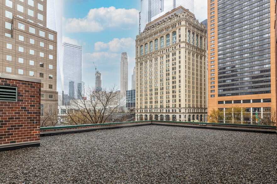 More Photos Of 250 Albany St, New York Apartments For Sale