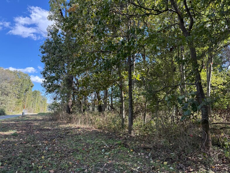 More Photos Of 6423 IL-184, Royalton Land For Sale