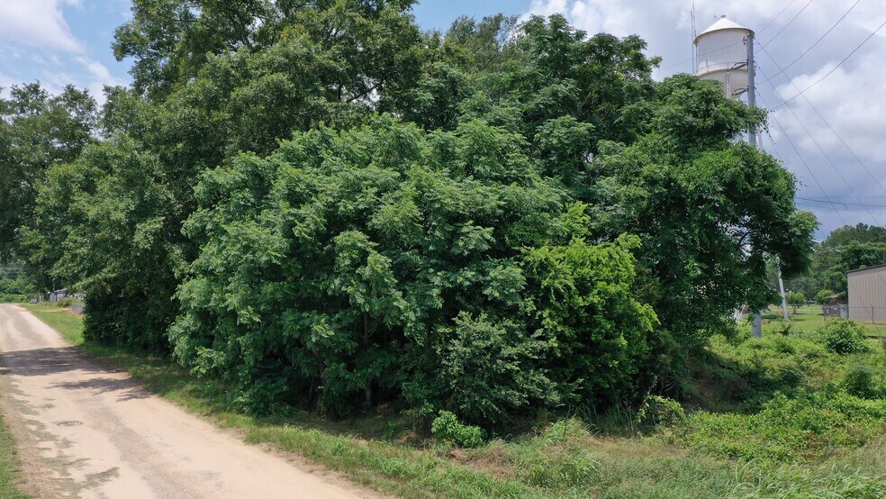 More Photos Of 0 Commerce Street, Frisco City Land For Sale