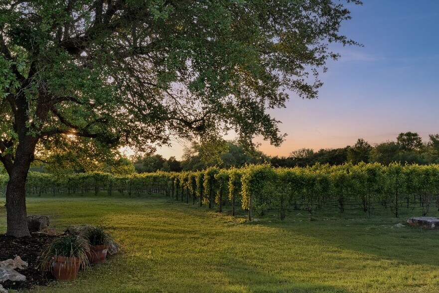 More Photos Of 18059A Ranch to Market Road 1826, Driftwood Winery Vineyard For Sale