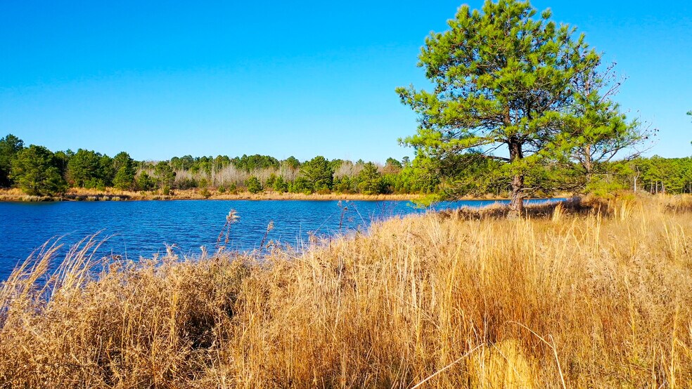 More Photos Of HWY 49 hwy, Jefferson Land For Sale