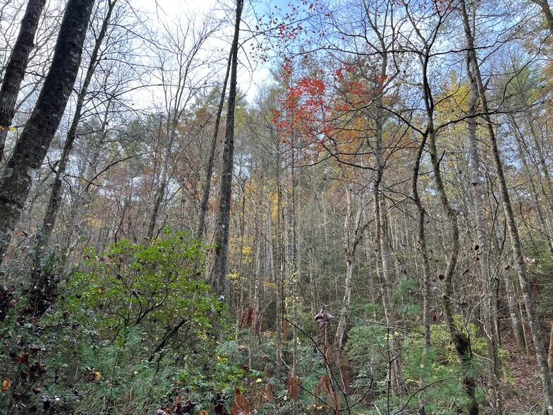 More Photos Of Whitecliff Drive, Ellijay Land For Sale