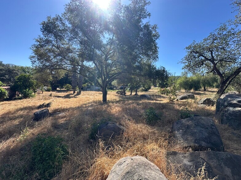 Primary Photo Of 1528 Olivewood Ln, Alpine Land For Sale