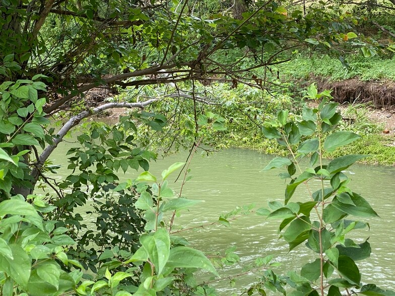 More Photos Of 1039 N Interstate 35E, Carrollton Research And Development For Lease