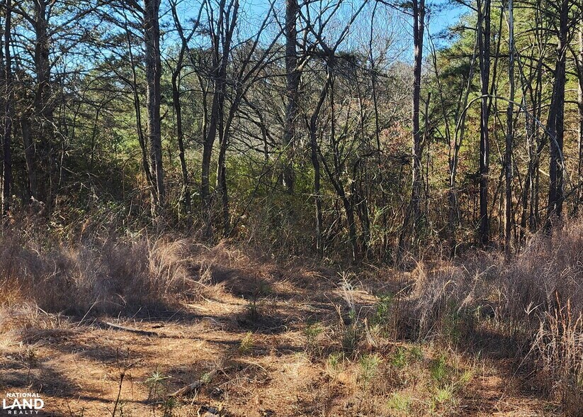 More Photos Of 0 S Sauty Rd, Langston Land For Sale