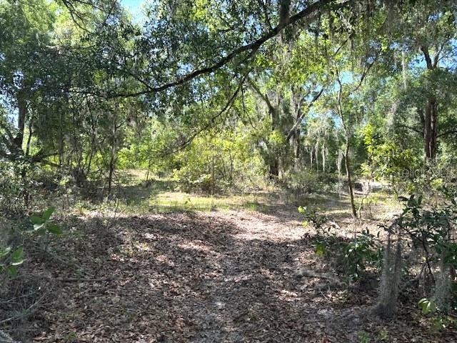 More Photos Of 4140 Kenvera loop, Inverness Land For Sale