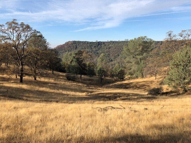 More Photos Of 1484 Oregon Gulch, Oroville Land For Sale