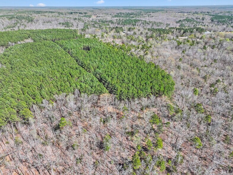 More Photos Of 1073 Boyds Mill Pond Rd, Laurens Land For Sale