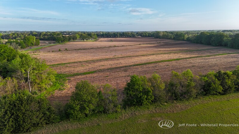 More Photos Of TBD Virlilia Rd, Canton Land For Sale