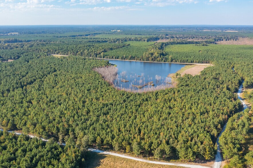 More Photos Of 18618 Hwy 43, Linden Land For Sale