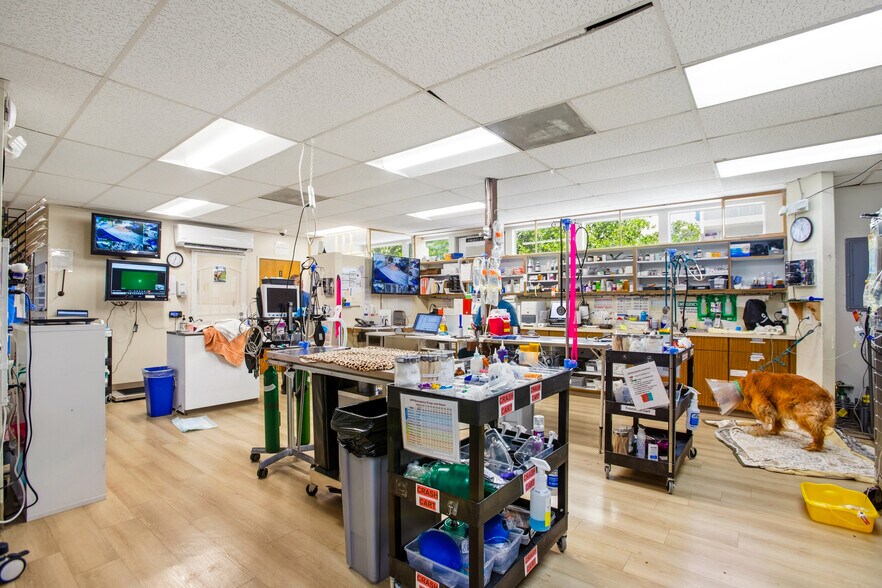 More Photos Of 4254 Eagle Rock Blvd, Los Angeles Veterinarian Kennel For Sale