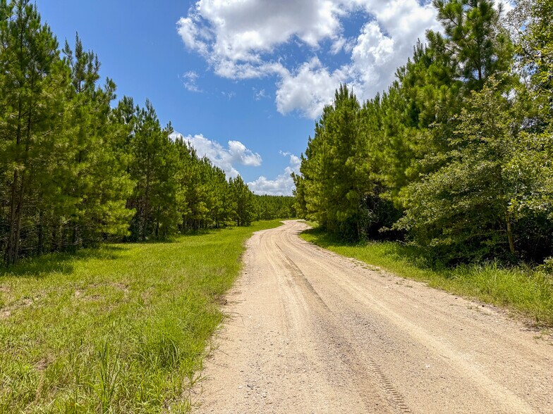 More Photos Of 1682 FM 980 Rd, Huntsville Land For Sale