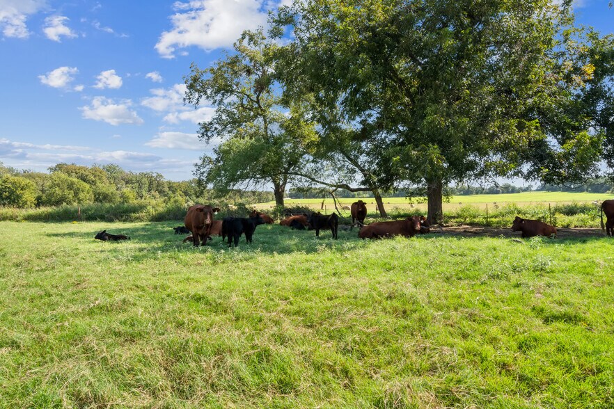 More Photos Of 324 E Highway 6, Iredell Land For Sale