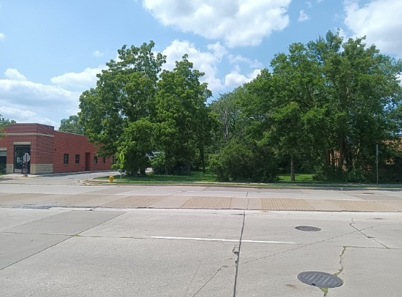 Primary Photo Of 16724 Oak Park Ave, Tinley Park Land For Sale