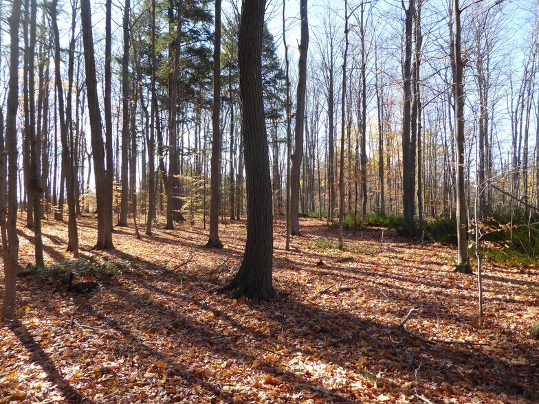 More Photos Of 8949 Wellington 22, Erin Land For Sale